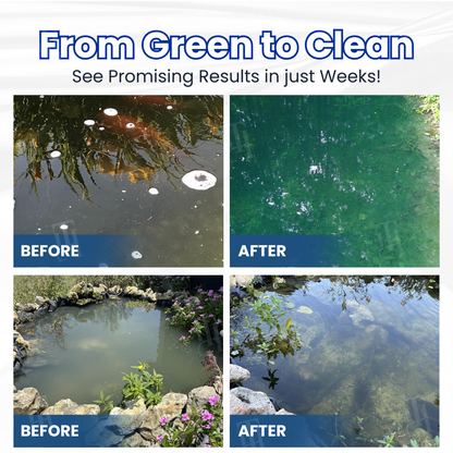 ✨ From Green to Clean Overnight! |⏱️ Crystal Clear in 24 Hours! | Juxek® Copurely Pro Formula