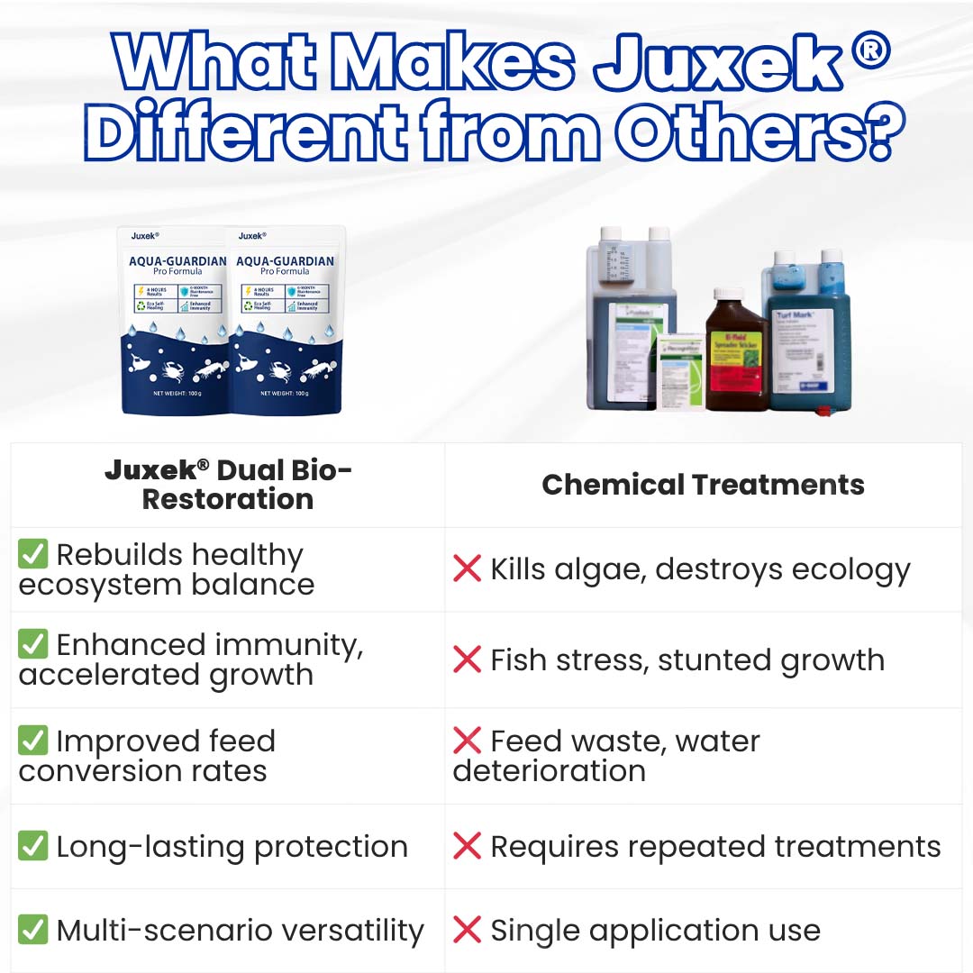 ✨ From Green to Clean Overnight! |⏱️ Crystal Clear in 24 Hours! | Juxek® Copurely Pro Formula