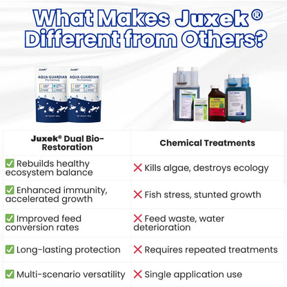 ✨ From Green to Clean Overnight! |⏱️ Crystal Clear in 24 Hours! | Juxek® Copurely Pro Formula