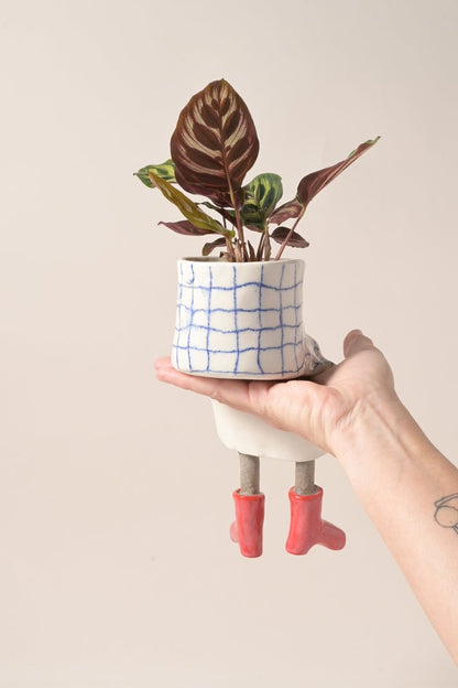 Creative furniture flower pot
