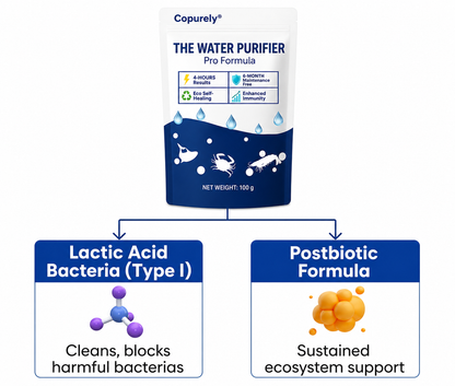 ✨ From Green to Clean Overnight! |⏱️ Crystal Clear in 24 Hours! | Juxek® Copurely Pro Formula