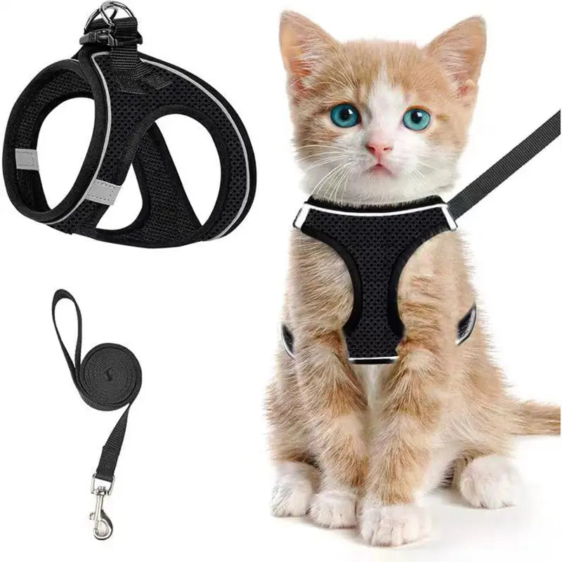 Escape Proof Cat  Leash