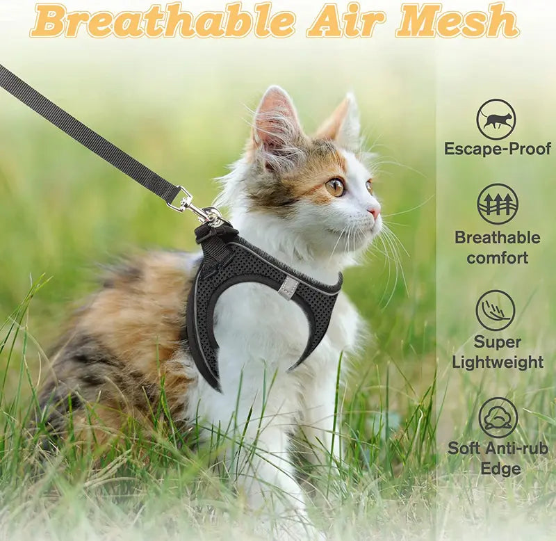 Escape Proof Cat  Leash